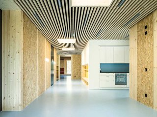 Sichtbar belassenes Holz dominiert den Innenausbau. Die abgehängte Holzlamellendecke und die geschliffenen OSB-Platten an der Wand treffen auf einen homogen blau gestrichenen Zementestrich.
