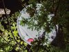 Die mit Raffinesse platzierten Öffnungen im Dach versorgen die Pflanzen mit genügend Tageslicht, ohne dabei die wald-
